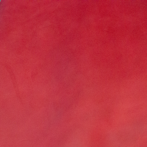 Vegetable Tanned Leather | Red